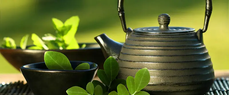 چای مورینگا