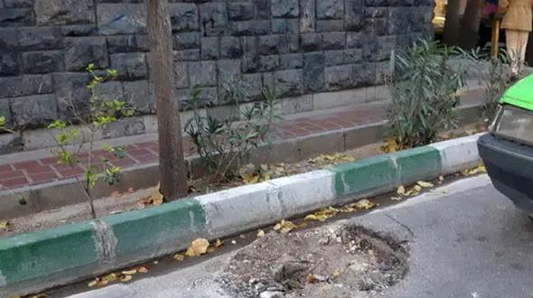 حذف نشان شیر و خورشید از تیرِ برق‌هایِ تهران+عکس