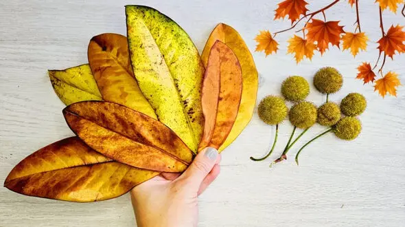 فیلم / ایده‌ای خلاقانه برای کاردستی برگ‌های پاییزی