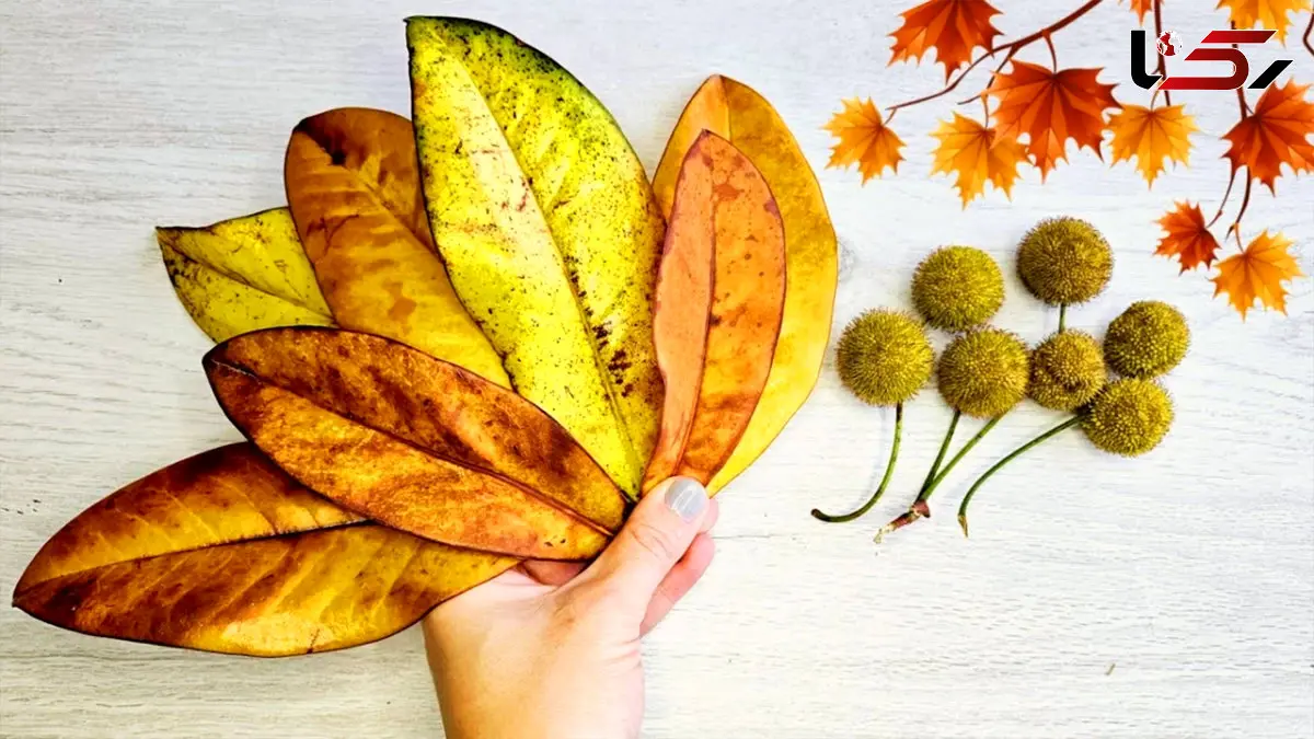 فیلم / ایده‌ای خلاقانه برای کاردستی برگ‌های پاییزی