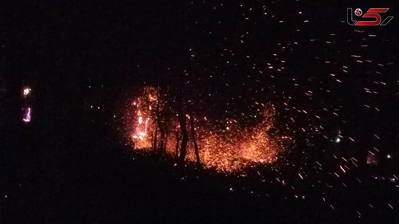تلاش 8 ساعته برای مهار آتش سوزی جنگلهای گیلان /به همراه فیلم و عکس