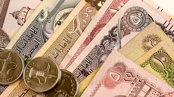 قیمت درهم امارات به تومان، امروز سه شنبه 18 دی ماه 1403 