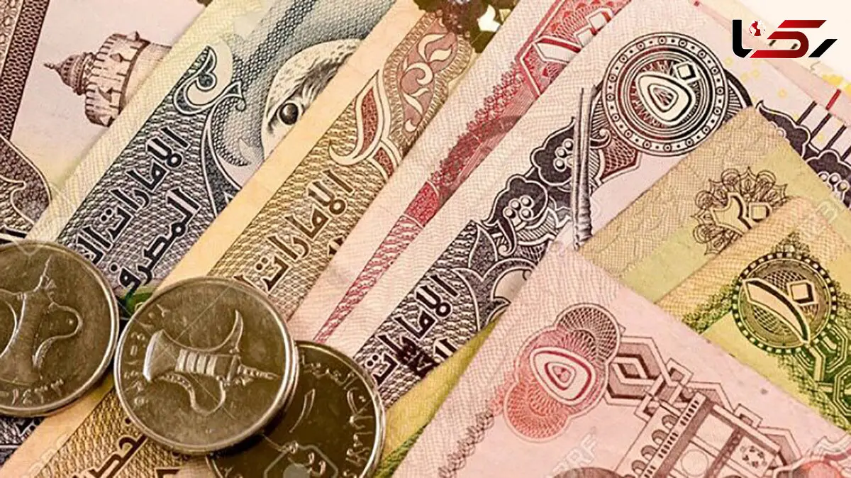 قیمت درهم امارات به تومان، امروز سه شنبه 18 دی ماه 1403 