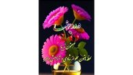فال ابجد امروز 23 خرداد + فیلم
