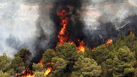 2 هکتار از جنگل های لردگان در آتش سوخت