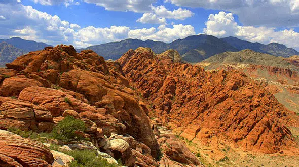 تنبیه بی رحمانه 3 کودک توسط پدر و مادر