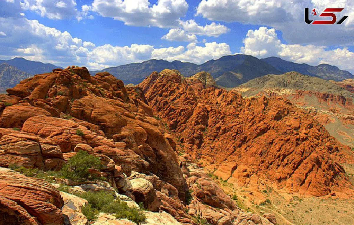 تنبیه بی رحمانه 3 کودک توسط پدر و مادر