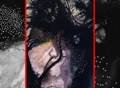 فیلم هوایی پرواز فلامینگوهای دریاچه مهارلو