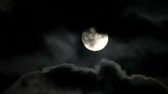 دختری 20 ساله ام و با پای خودم به خانه مجردی رامین رفتم!