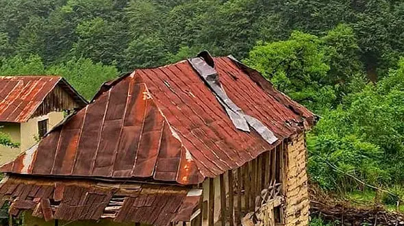 سفری با زیبایی بی انتها در جنگل های مازندران
