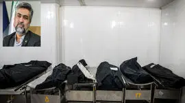 اولین پاسخ به ابهام شلیک تیرخلاص به مجروحان حوادث دی ماه در بیمارستان ها / دکتر کرمانپور چی نوشت ؟!