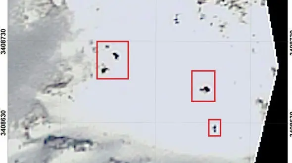 کشف  ۴۵ پیکر مسافران سانحه سقوط هواپیمای تهران - یاسوج