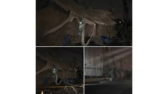 طوفان در تهران باعث ریزش داربست در محله سوهانک شد + عکس