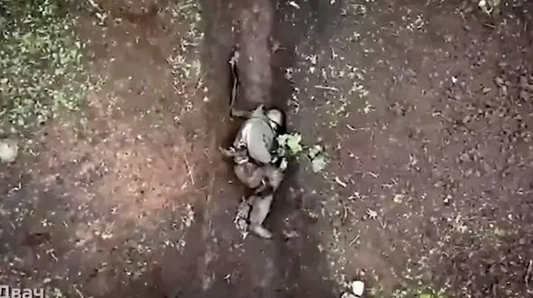 خوش شانس ترین سرباز اوکراینی را ببینید 