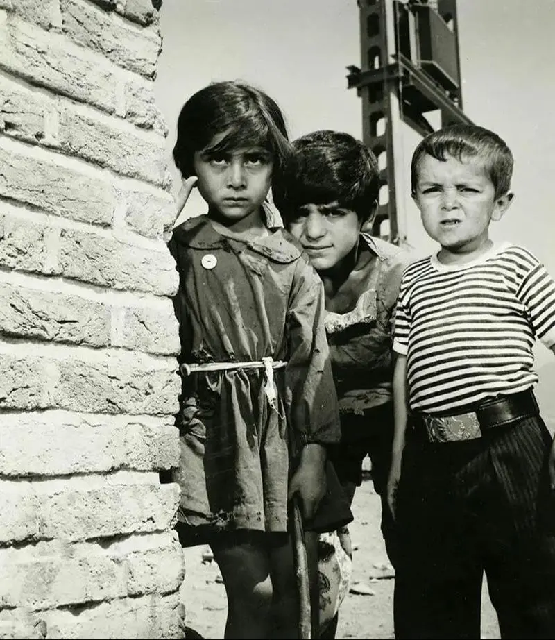 filmfarsiofficial_1565579177_2108553427935222454_3230002639