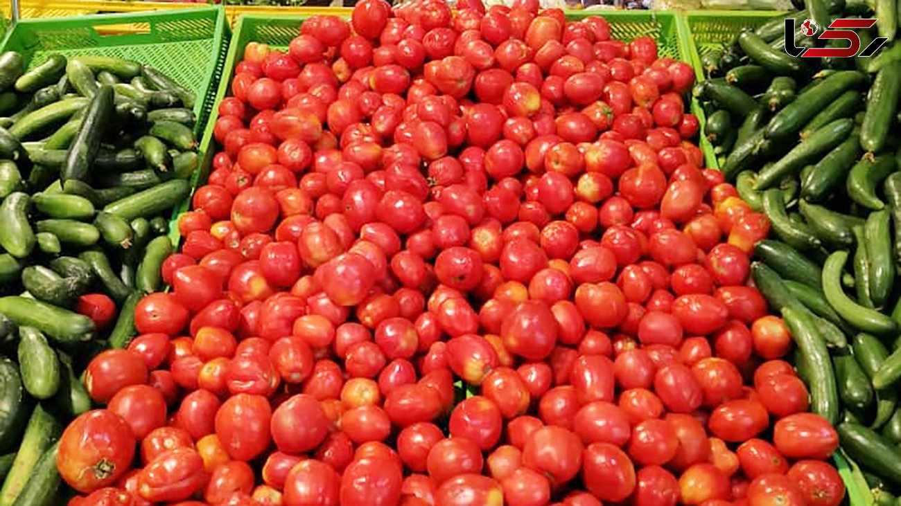 عرضه گسترده گوجه فرنگی در تهران + قیمت