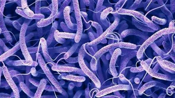 شیوع وبا در گرما + راه های درمان