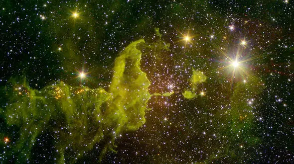 تصویر زیبا از عنکبوت سبز کهکشانی + عکس