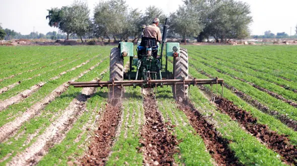 حقوق زارعانه