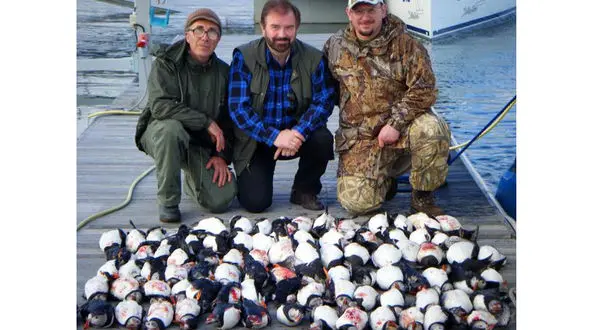 قتل عام 100 طوطی دریایی به خاطر 3000 پوند+عکس