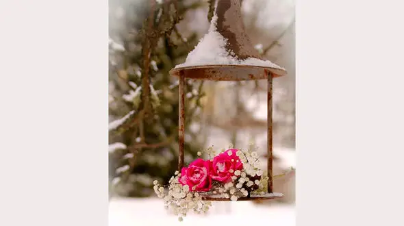 فال روزانه شخصی / 27 مرداد ماه + فیلم