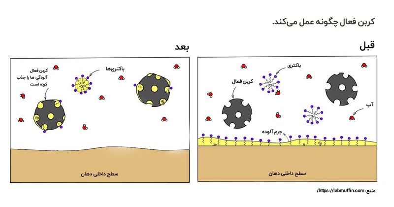 کربن فعال گیاهی