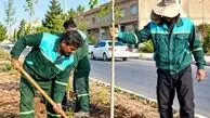 آغاز نهضت توسعه فضای سبز در کرمان با کاشت گونه های سازگار