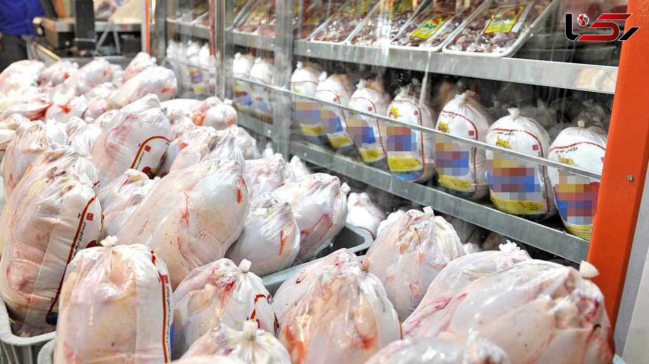نیازی به واردات مرغ نداریم/ قیمت هر کیلو مرغ ۱۶ هزار تومان

