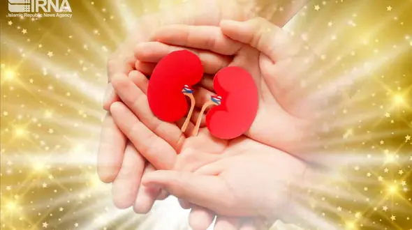 محمدرضا آشین جوان 25 ساله گیلانی اشک همه را در آورد / فرشته نجات شد