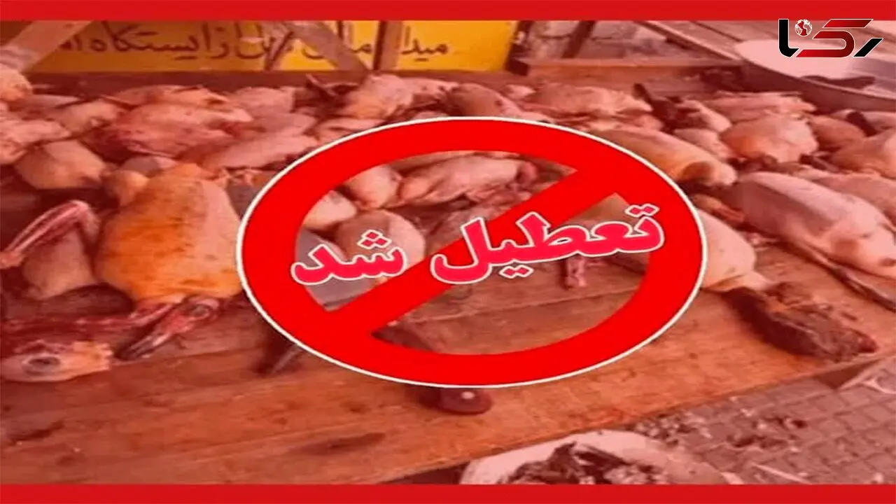 تعطیلی بازار غیرقانونی فروش پرندگان وحشی در فریدونکنار