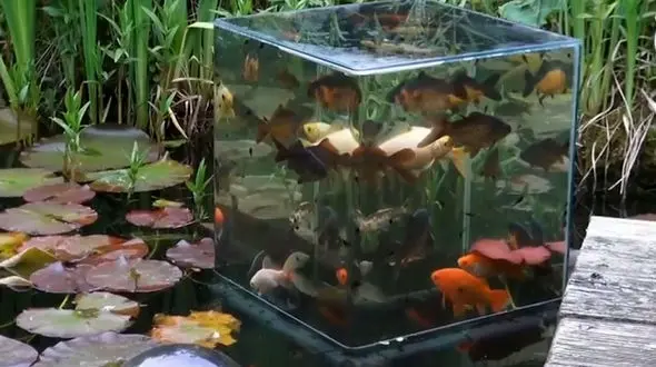 یک آکواریوم زیبا و ساده بسازید +فیلم