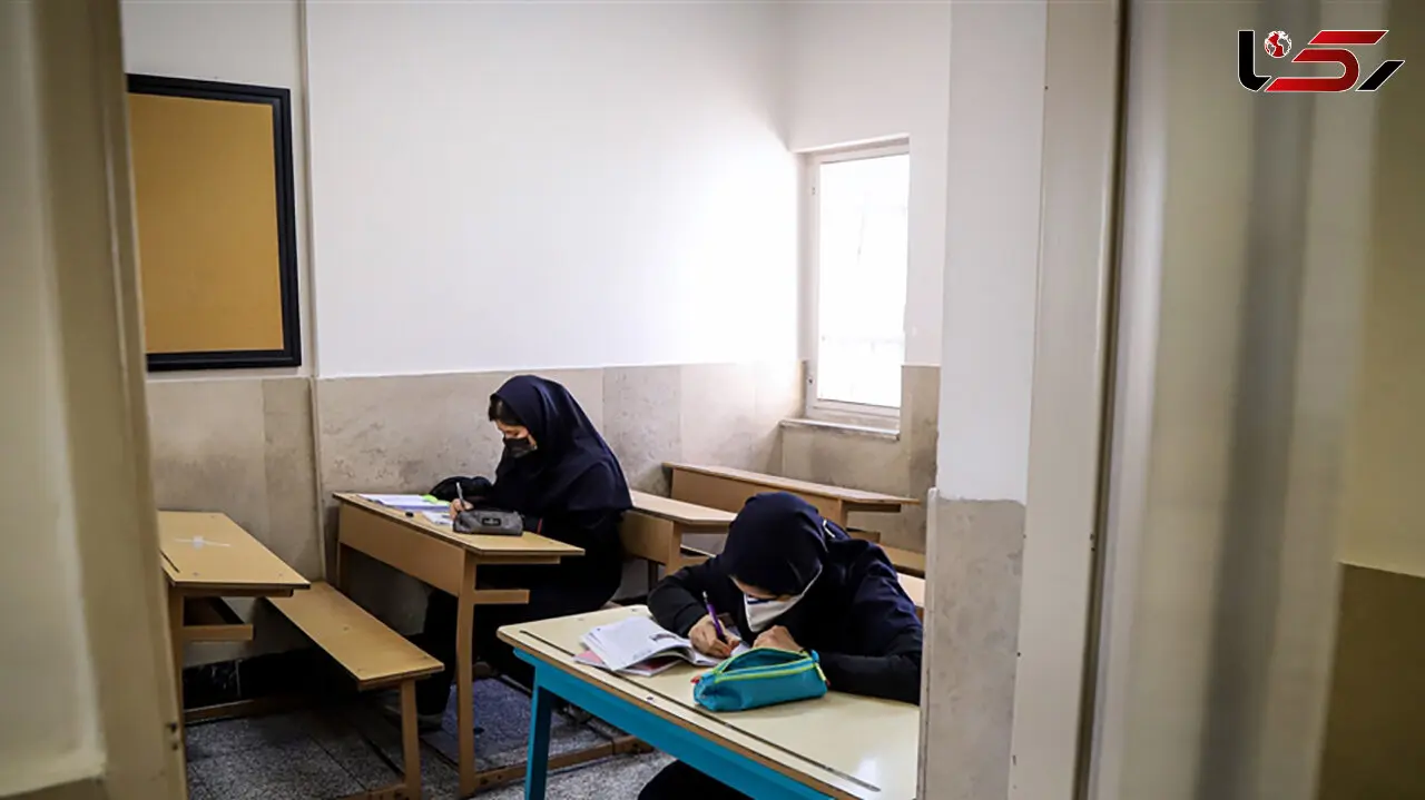 حاصل خصوصی سازی مدارس، افزایش جدا سازی نژادی، قومی، اجتماعی و اقتصادی است