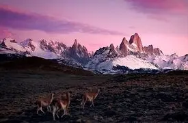 معرفی دو جای زیبا و دیدنی