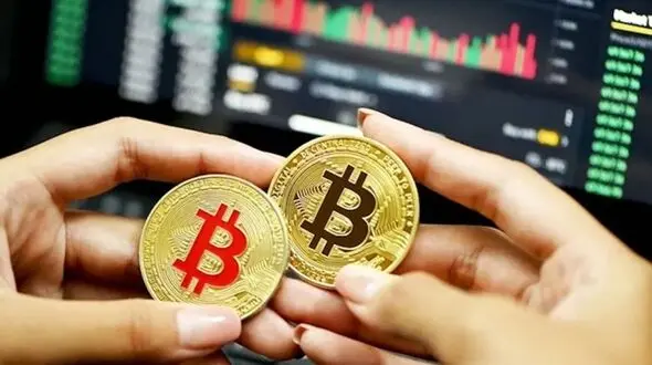 نکات مهم برای شروع آموزش ارز دیجیتال؛ بررسی هزینه، ضرورت و بهترین دوره های آموزشی!
