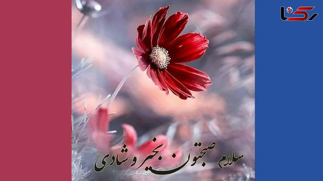 فال روزانه شخصی / 23 آذر ماه + فیلم