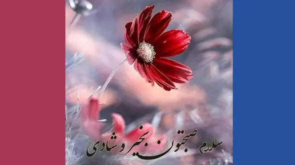 فال روزانه شخصی / 23 آذر ماه + فیلم
