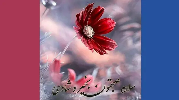 فال روزانه شخصی / 23 آذر ماه + فیلم