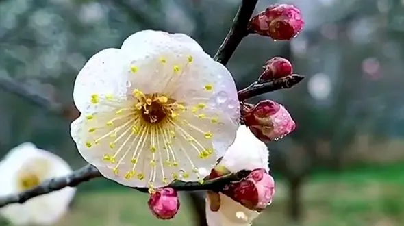 دلت را گره بزن به شادی و در لحظه زندگی کن