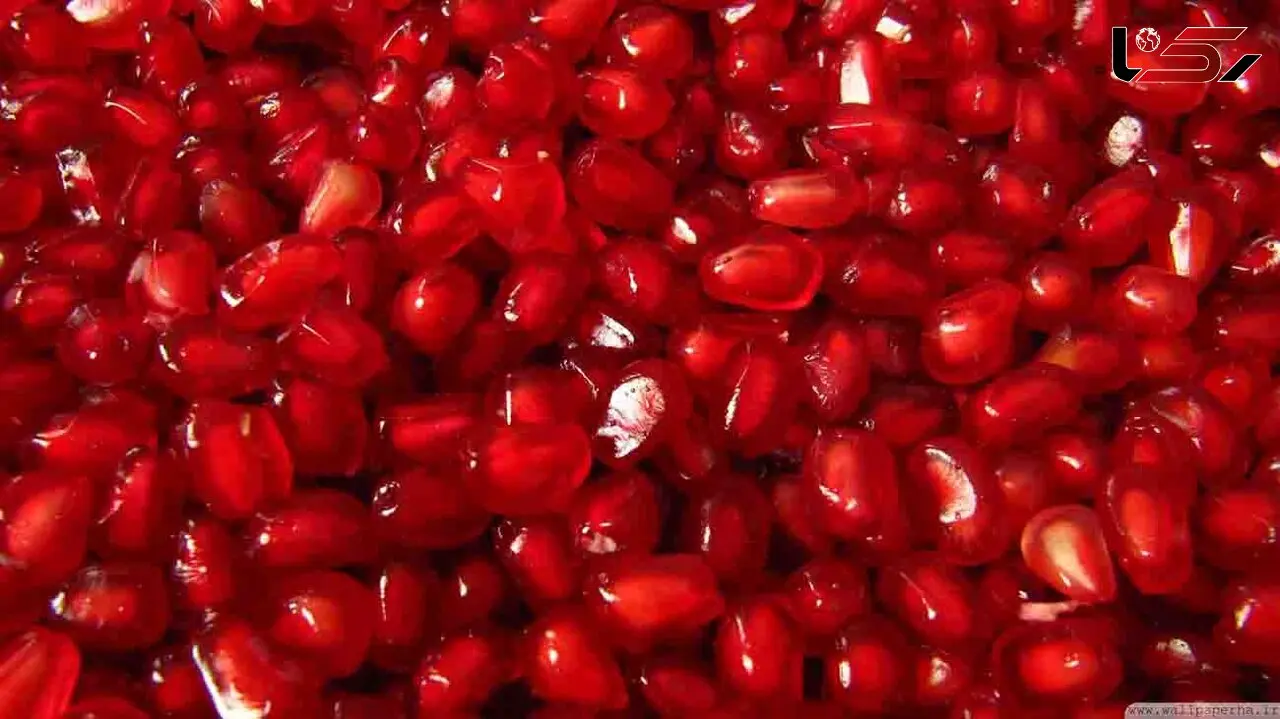 88 خاصیت انار + 11 ضرر این میوه پاییزی 