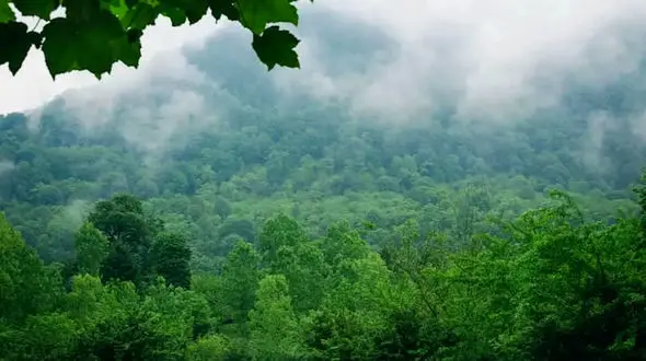 از بارندگی در بیجار تا قلعه تاریخی هاریهار در هند