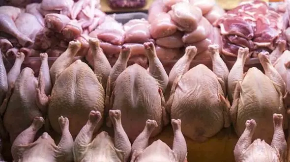 قیمت گوشت و مرغ امروز سه شنبه 21 مرداد + جدول