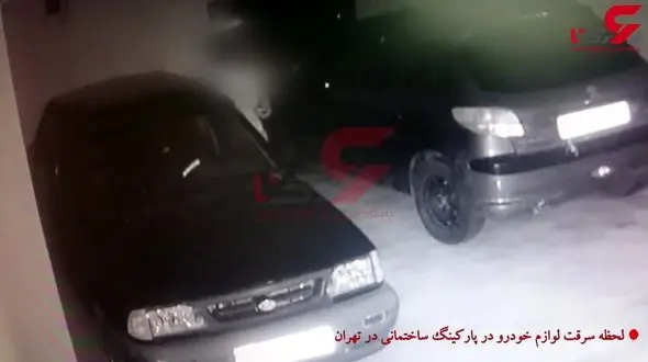 دزد و صاحبخانه در تهران باهم مواجه شدند! + فیلم 