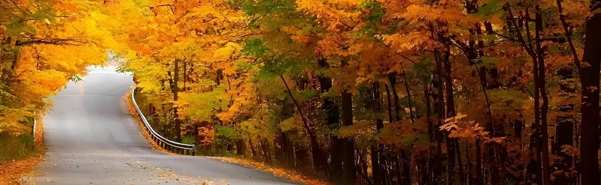 ۷ مقصد پاییزی شگفت‌ انگیز ایران برای سفری متفاوت در سال ۱۴۰۵