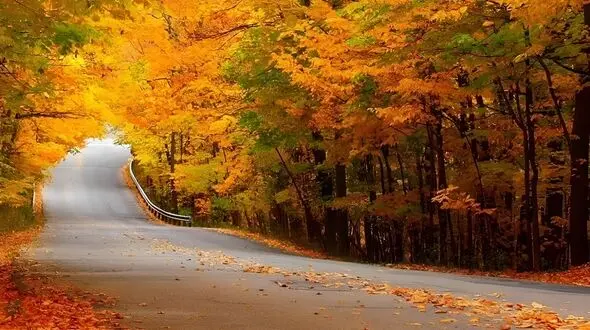 ۷ مقصد پاییزی شگفت‌ انگیز ایران برای سفری متفاوت در سال ۱۴۰۵