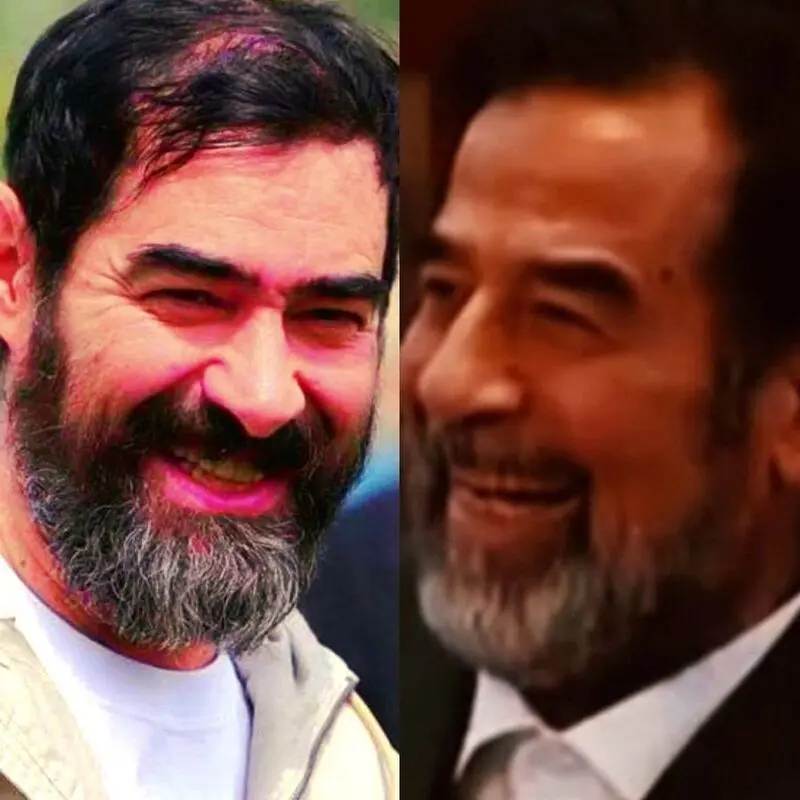 شهاب حسینی