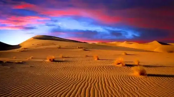 اتفاق جالب در کویر مرنجاب + فیلم