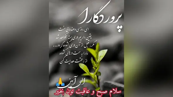 فال و طالع بینی روزانه 26 خرداد 