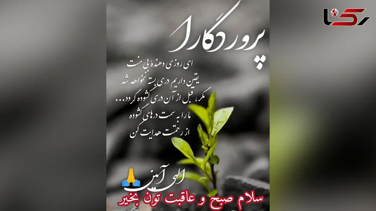 فال و طالع بینی روزانه 26 خرداد 