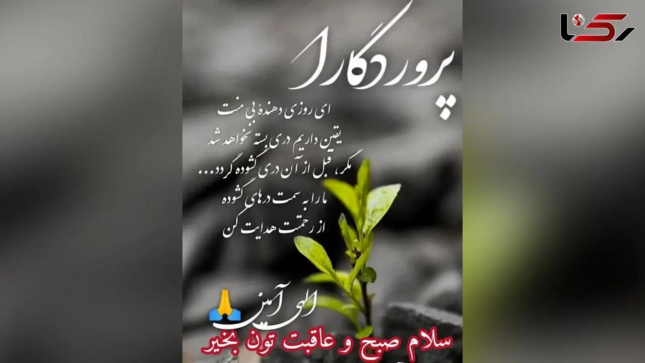 فال و طالع بینی روزانه 26 خرداد 