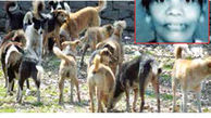 سگ‌های وحشی زنی را زنده زنده خوردند + عکس